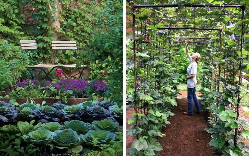 Сады из овощей - тренд в ландшафтном дизайне 2020